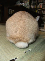 DSCF2313400.jpg
