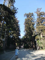 DSCF2339400.jpg
