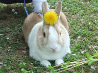 DSCF2664400.jpg