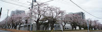 DSC001931800.jpg