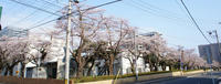 DSC002001800.jpg