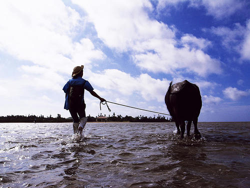 walk on the sea