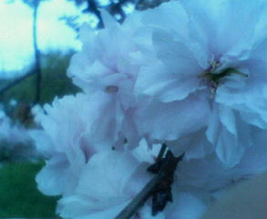 200904151113000.jpg