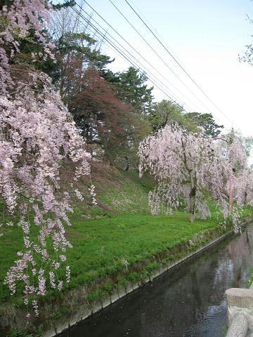 02.JPG
