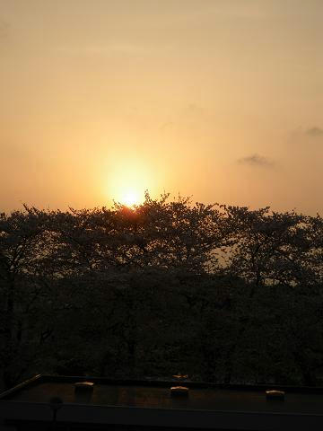 IMGP0774.jpg