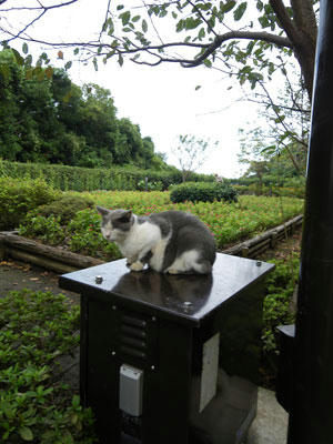 IMGP0918.jpg