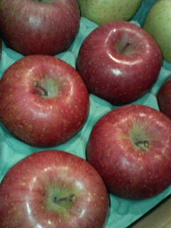 201011292022000.jpg