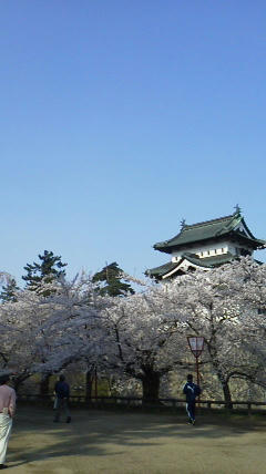 2011050407300000.jpg