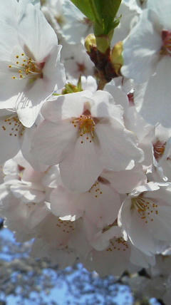 2011050407300001.jpg