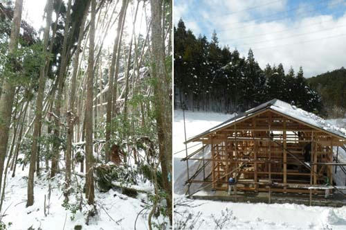 kenshu1101133.JPG