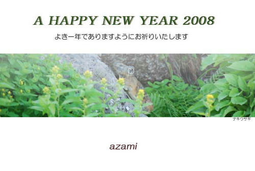 2008azami-web.jpg