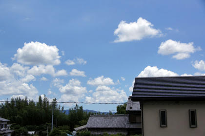 DSC03281-1.jpg