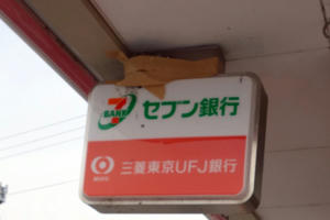 8d063c95.jpeg