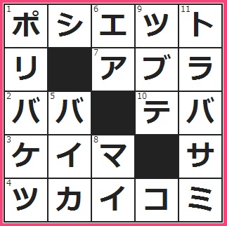 クロスワード答え　小物を入れてぶら下げる
