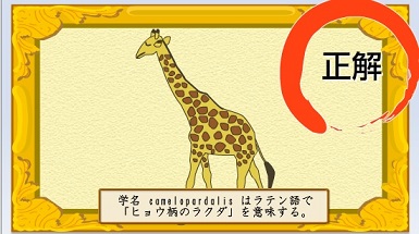 3/24　ネットマイル　ゲームdeマイル＆ランダムマイル宝箱の答え