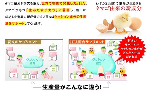 タマゴサミン実質無料