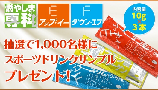 エナジークエストプレゼント