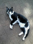 20071018104645.jpg