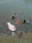 20071102110203.jpg