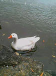 20071102110539.jpg