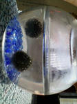 20080429121712.jpg
