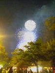 D1000922.jpg