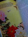 20081001203729.jpg