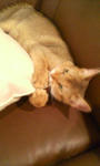 20090130142551.jpg
