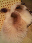 20090130142727.jpg