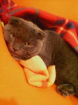 20090130142821.jpg