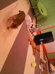20090130144125.jpg