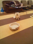 20090130145206.jpg