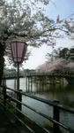 2009041315220000.jpg