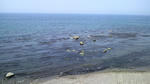 2009041312280001.jpg