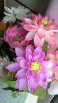 2009041915300000.jpg