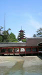 2009050112230000.jpg