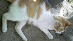 2009050113000000.jpg