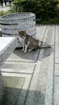 2009050214530000.jpg