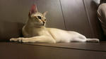 2010021319370000.jpg