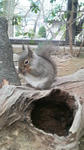 2010041116040001.jpg