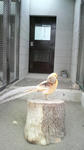 2010041115420000.jpg