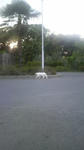 2010080518360000.jpg