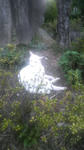 2010080521070001.jpg