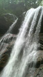 2010081518510000.jpg