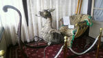 2011042022260002.jpg