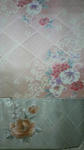 2011052620350000.jpg