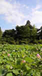 2011080521080000.jpg