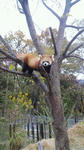 2011110515580002.jpg