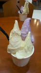 2011102912370001.jpg