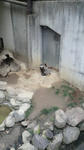 2011110516150001.jpg